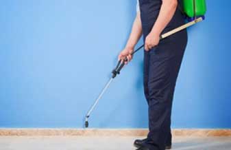 Transforma Dedetizadora Nordeste - Foto 1