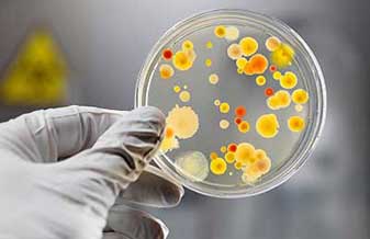 Consultório Dr. Saulo Origenes Cardoso Rocha - Foto 1