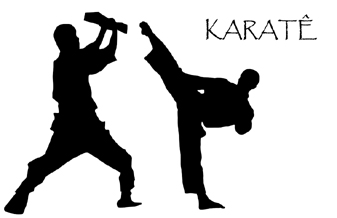 Associacao Silvestre de Karate - Foto 1