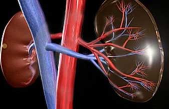 Marcos Vinicius Ribeiro Arnaud - Foto 1