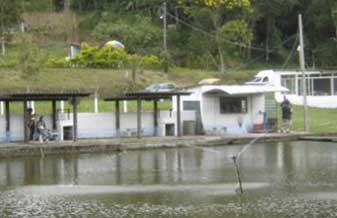 Sap Pesqueira - Foto 1