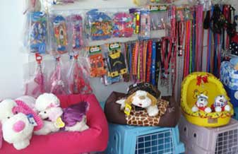 San Lin Dog - Foto 1