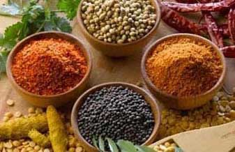 Casa das Ervas - Foto 1