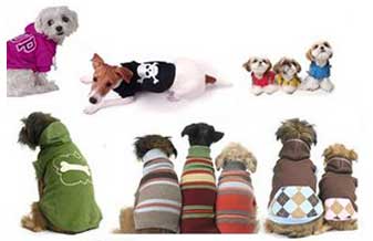 Dengo de Pêlo - Foto 1