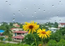 Garanhuns dia chuvoso