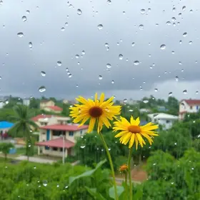 Garanhuns dia chuvoso