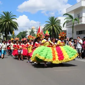escolas desfilam no domingo