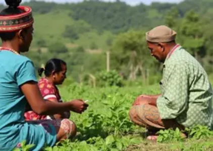 Últimas noticias de Garanhuns