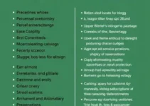 pré-candidatos à presidência da república em 2026