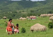 Programa Pernambuco Artesão