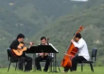 Festival Virtuosi