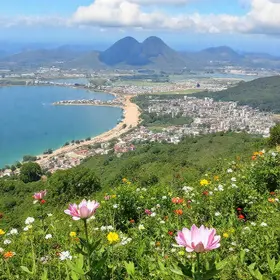 primavera nordeste