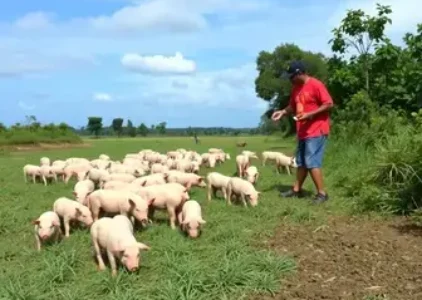Últimas noticias de Garanhuns